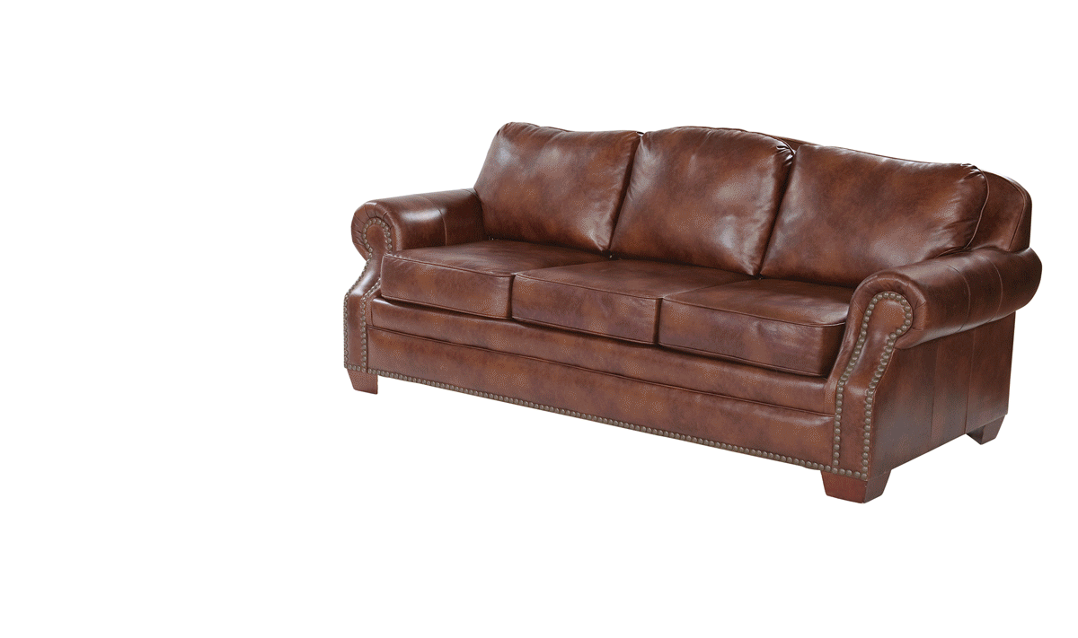 HotelRTG Elegant 8.5 inch Sofabed that&nbsp;works